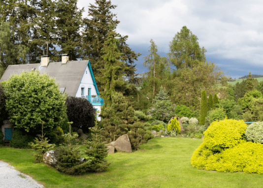 Jardin de conifères